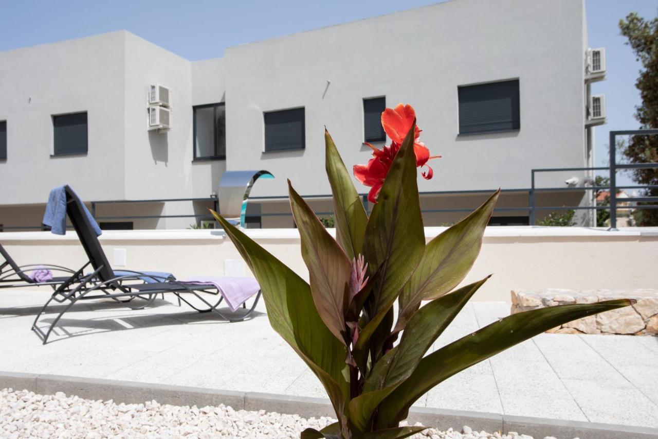 Ferienwohnung Atena Zaton 2 Nin Exterior foto